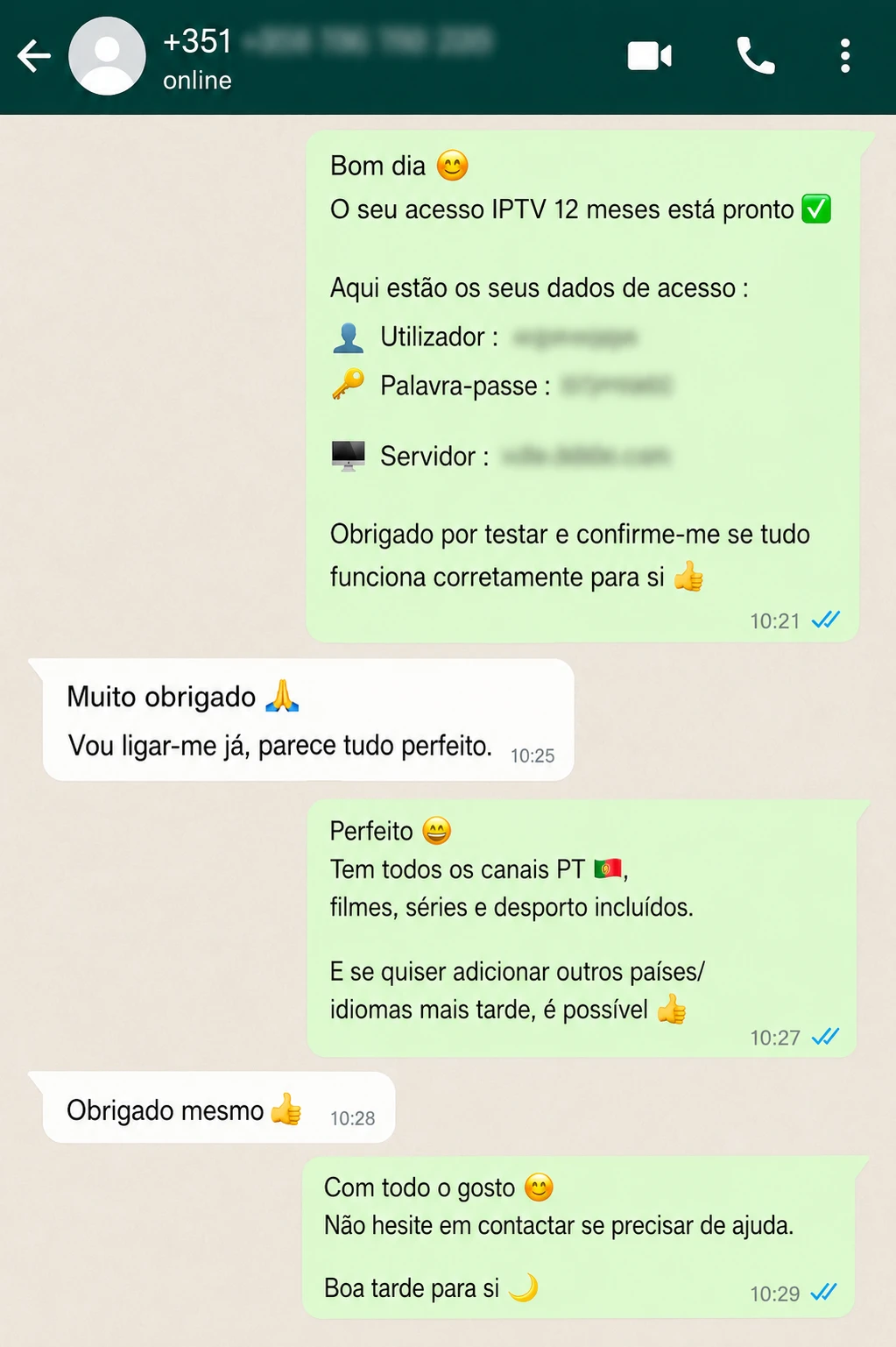 Conversa WhatsApp com feedback positivo sobre IPTV Portugal